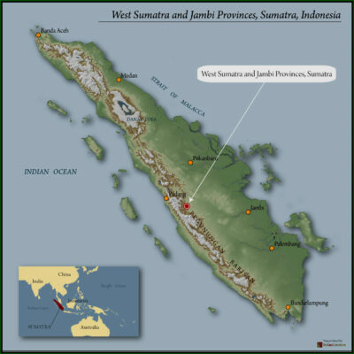 Sumatra Kerinci Premium Robusta Cherry 