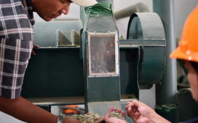 Coffee Processing – A Flowchart