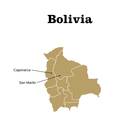 Bolivia Map