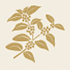 Coffee icon