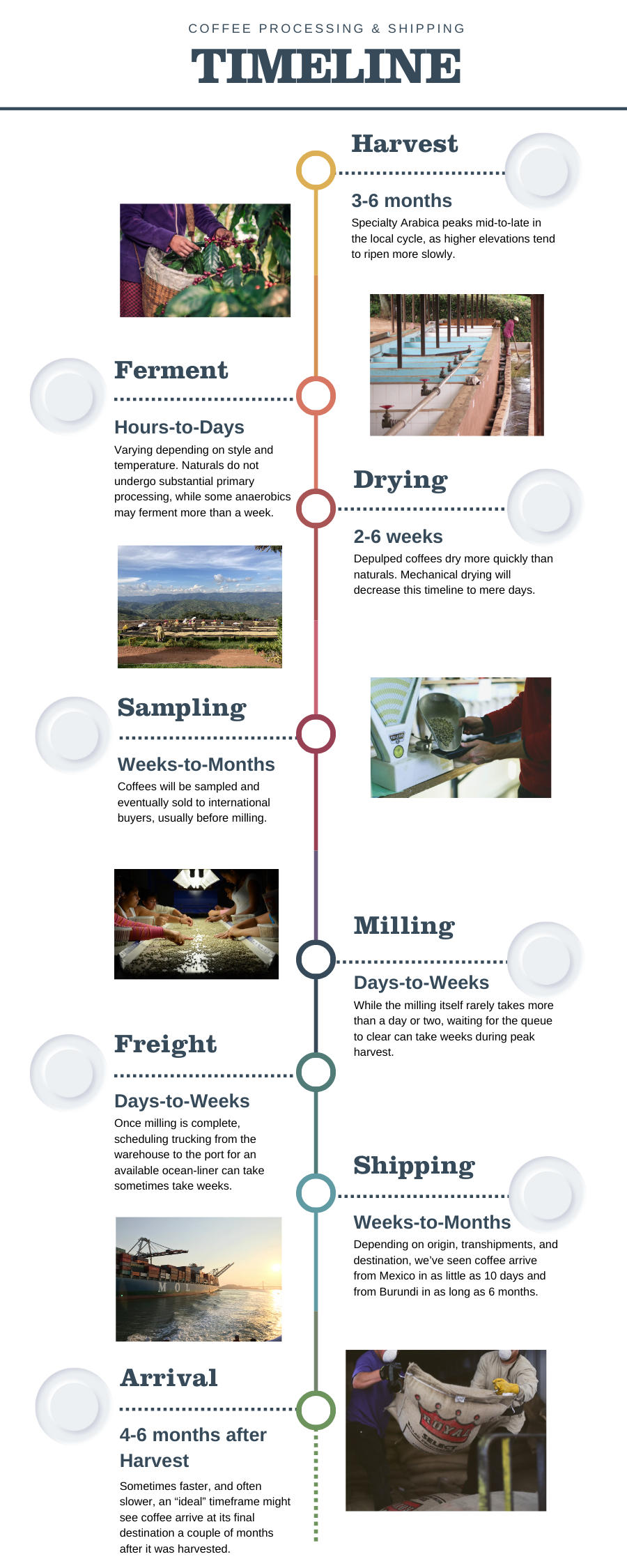 Coffee Processing & Shipping Timeline
