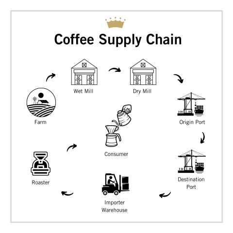 coffee supply chain inforgram